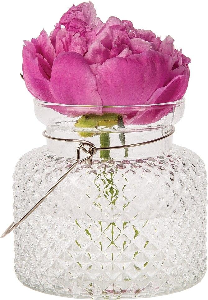 Marion Clear Hanging Mason Jar Candle Holder and Vase (20 PACK) - AsianImportStore.com - B2B Wholesale Lighting and Décor