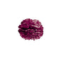 Port 10 Inch Tissue Paper Flower Pom Pom - PaperLanternStore.com - Paper Lanterns, Decor, Party Lights & More