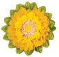 Medium Marigold Yellow 10 Inch Tissue Paper Flower - PaperLanternStore.com - Paper Lanterns, Decor, Party Lights & More