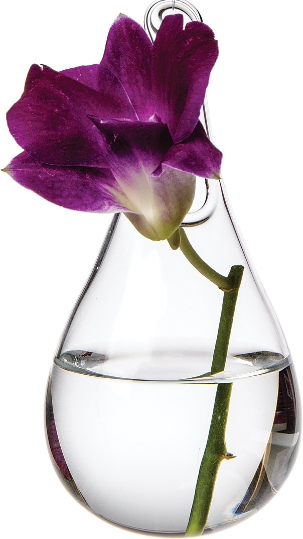 Clear Glass Small Teardrop Hanging Bud Vase - PaperLanternStore.com - Paper Lanterns, Decor, Party Lights & More