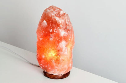 Accessory Lamp Cord for Craft Hobby Christmas Ceramic Village Houses, Salt Lamps, Table Lanterns w/ E12 Base, Shatterproof Light Bulb, Switch, 6 Ft - PaperLanternStore.com - Paper Lanterns, Decor, Party Lights & More