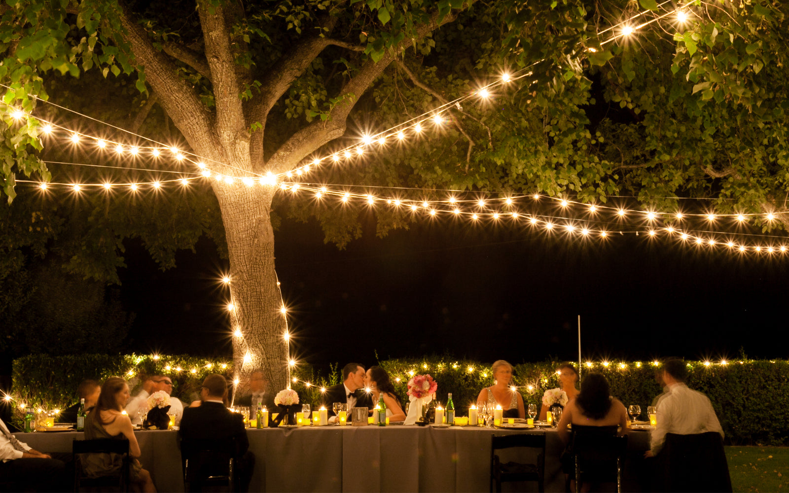 Outdoor Wedding Reception with String Lights Overhead