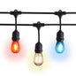 Shatterproof LED Patriotic 4th of July Outdoor Suspended Commercial String Light, E26, Black Cord