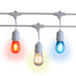 Shatterproof LED Patriotic 4th of July Outdoor Suspended Commercial String Light, E26, White Cord