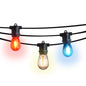 Patriotic 4th of July Outdoor Commercial String Light with Shatterproof LED Bulbs, Black Cord