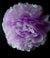 EZ-Fluff 12" Lavender Tissue Paper Pom Poms Flowers Balls, Decorations (4 PACK) - AsianImportStore.com - B2B Wholesale Lighting and Decor