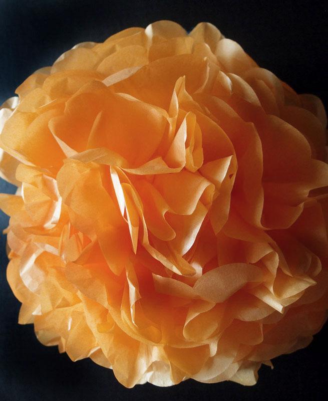 BLOWOUT (100 PACK) EZ-Fluff 20" Peach / Orange Coral Tissue Paper Pom Poms Flowers Balls, Hanging Decorations