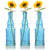 12 Pack | 6.5" Ella Turquoise Vintage Glass Bottle with Cork - DIY Wedding Flower Bud Vases - AsianImportStore.com - B2B Wholesale Lighting & Decor since 2002