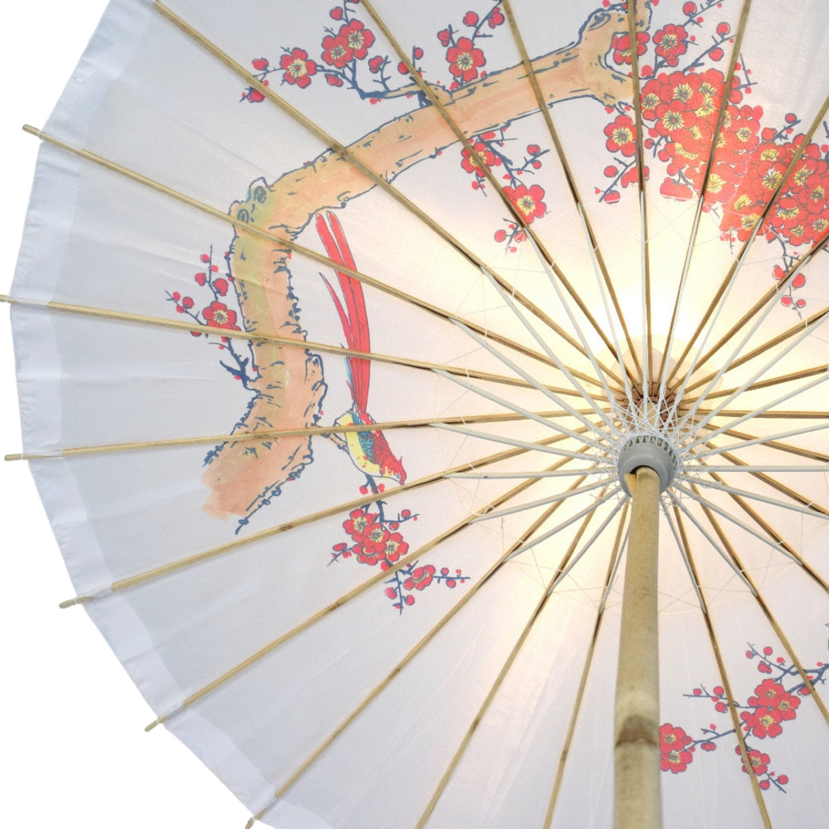 32" Red Bird Cherry Blossom Premium Nylon Parasol Umbrella with Elegant Handle