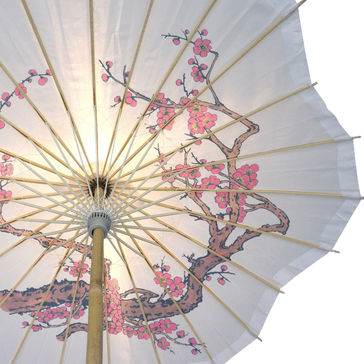 32" Cherry Blossom Premium Nylon Parasol Umbrella, Scallop Shaped with Elegant Handle