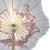 32" Cherry Blossom Premium Nylon Parasol Umbrella, Scallop Shaped with Elegant Handle
