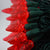 70 Outdoor Red LED C6 Strawberry String Lights, 24 FT Green Cord, Weatherproof, Expandable - AsianImportStore.com - B2B Wholesale Lighting and Decor