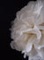 (Discontinued) (100 PACK) EZ-Fluff 8" Beige Tissue Paper Pom Pom Flowers, Hanging Decorations