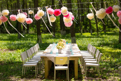 Anniversary Celebration Party Pack Tissue Paper Pom Pom Combo Set (16 pc Set) - AsianImportStore.com - B2B Wholesale Lighting and Decor