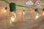 50 Socket Outdoor Patio String Light Set, G50 Clear Globe Bulbs, 51 FT Green Cord w/ E17 Base - AsianImportStore.com - B2B Wholesale Lighting and Decor