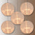 5 PACK | 14" White Shimmering Nylon Lantern, Even Ribbing, Durable, Hanging Decoration