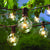 (Cord Only) 50 Socket Outdoor Patio DIY String Light, 51 FT Black w/ E12 Base, Expandable End-to-End for LED Bulbs - AsianImportStore.com - B2B Wholesale Lighting and Decor