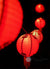8" Traditional Chinese New Year Paper Lantern String Light COMBO Kit (12 FT, EXPANDABLE, Black Cord) - AsianImportStore.com - B2B Wholesale Lighting and Decor