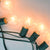Clear 7-Watt Incandescent G40 Globe Light Bulbs, E17 Base (25 PACK) - AsianImportStore.com - B2B Wholesale Lighting and Decor