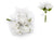 White 8-Rose Realistic Bridal Floral Wedding Bouquet w/ Tulle - AsianImportStore.com - B2B Wholesale Lighting and Decor