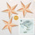 3-PACK + Cord | Gold Glitter Bramble 24" Illuminated Paper Star Lanterns and Lamp Cord Hanging Decorations - AsianImportStore.com - B2B Wholesale Lighting and Decor