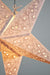 24" Silver Bramble Glitter Paper Star Lantern, Hanging - AsianImportStore.com - B2B Wholesale Lighting and Decor
