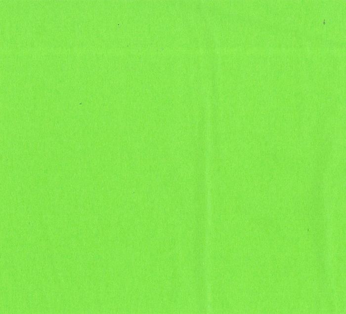 EZ-Fluff 8" Light Lime Tissue Paper Pom Pom Flowers, Hanging Decorations (4 PACK) - AsianImportStore.com - B2B Wholesale Lighting and Decor