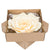 (Discontinued) (24 PACK) Large 12" Vanilla Cream Beige Peony Paper Flower Backdrop Wall Decor, 3D Premade