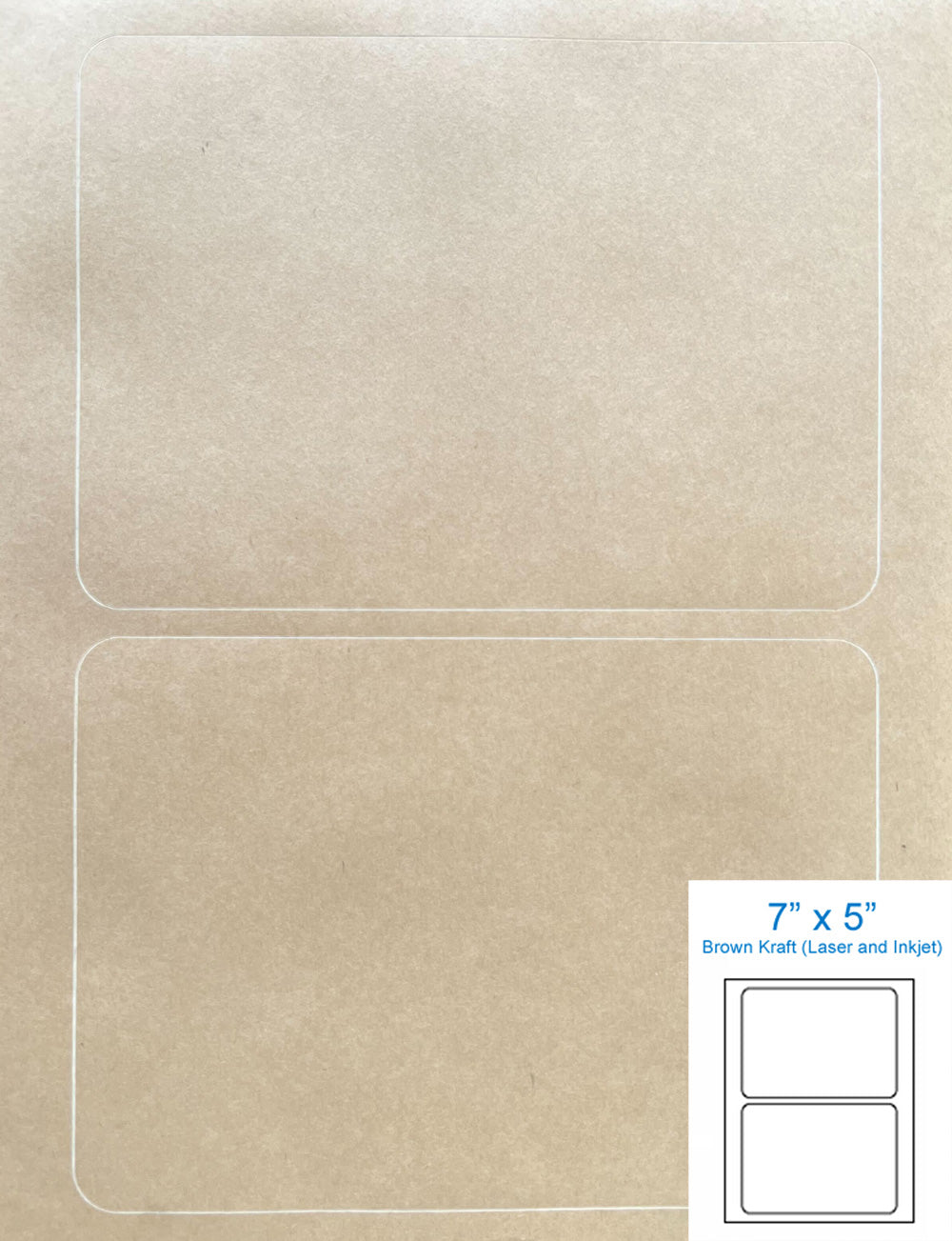 Blank Glossy White Rectangle Paddle Fans for DIY Wedding Invitations and Programs (20-Pack)