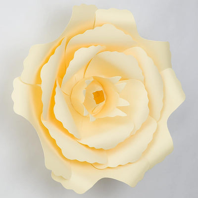 Large 12" Vanilla Cream Beige Peony Paper Flower Backdrop Wall Decor, 3D Premade (24 PACK) - AsianImportStore.com - B2B Wholesale Lighting and Décor