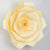 Large 12" Vanilla Cream Beige Peony Paper Flower Backdrop Wall Decor, 3D Premade (24 PACK) - AsianImportStore.com - B2B Wholesale Lighting and Décor