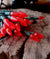 70 Outdoor Red LED C6 Strawberry String Lights, 24 FT Green Cord, Weatherproof, Expandable - AsianImportStore.com - B2B Wholesale Lighting and Decor