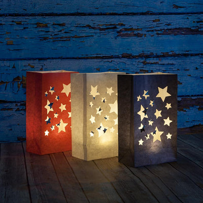 Fantado MoonBright™ BULK PACK (6) 6-LED Luminary / Luminaria Bag Lights, Warm White (Battery Powered) - AsianImportStore.com - B2B Wholesale Lighting and Decor