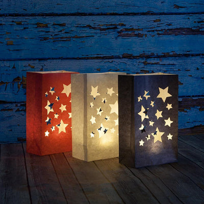 Fantado MoonBright™ 6-LED Luminary / Luminaria Bag Light - Warm White (Battery Powered) - AsianImportStore.com - B2B Wholesale Lighting and Decor