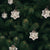 6 Pack | Mini Mercury Glass Star Ornaments (1 to 1.5-Inch, Silver, Imogen Design) - Great Gift Idea, Vintage-Style Decorations for Christmas and Home Decor - AsianImportStore.com - B2B Wholesale Lighting & Décor since 2002.