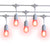 24 Suspended Multi-Color Socket Outdoor Commercial String Light Set, 54 FT White Cord w/ 2-Watt Shatterproof LED Bulbs, Weatherproof SJTW