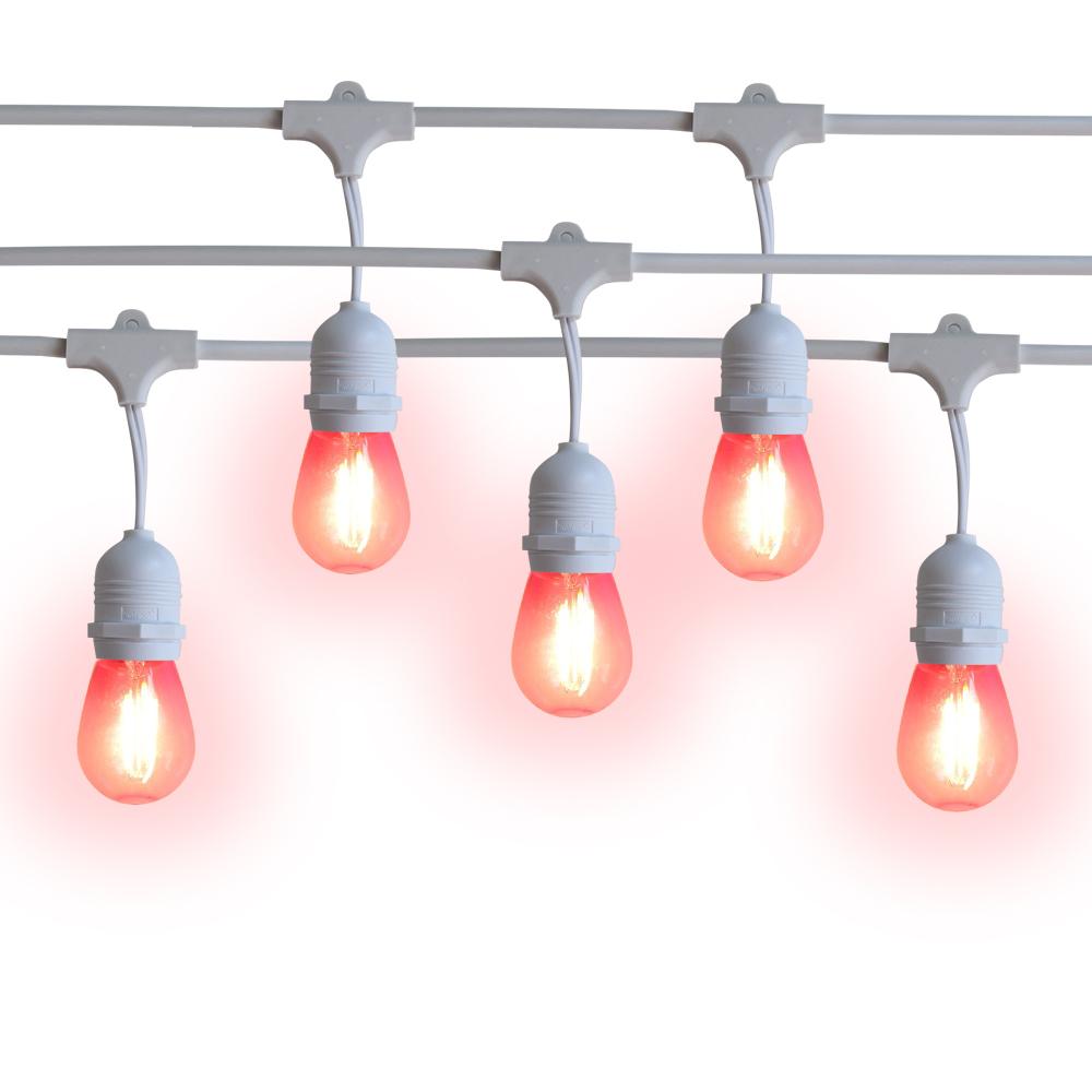 10 Suspended Multi-Color Outdoor Commercial String Light Set, 21 FT White Cord w/ 2-Watt Shatterproof LED Bulbs, Weatherproof SJTW