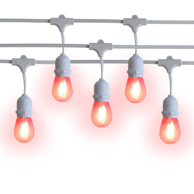 10 Suspended Multi-Color Outdoor Commercial String Light Set, 21 FT White Cord w/ 2-Watt Shatterproof LED Bulbs, Weatherproof SJTW