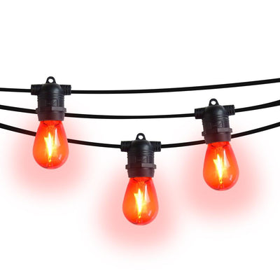 24 Socket Multi-Color Outdoor Commercial String Light Set, 54 FT Black Cord w/ 2-Watt Shatterproof LED Bulbs, Weatherproof SJTW