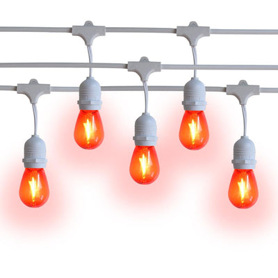 10 Suspended Multi-Color Outdoor Commercial String Light Set, 21 FT White Cord w/ 2-Watt Shatterproof LED Bulbs, Weatherproof SJTW