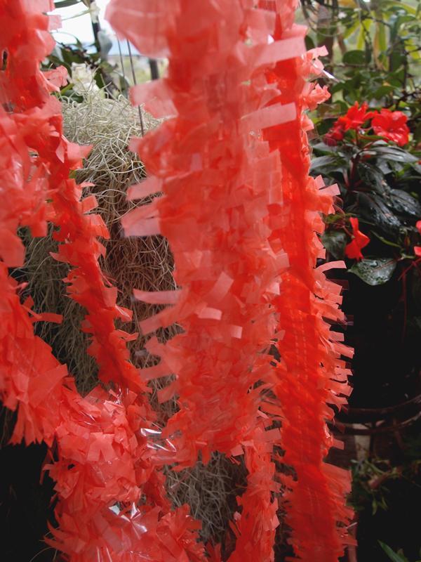 BLOWOUT (20 PACK) Roseate Tissue Festooning Fringe Garlands