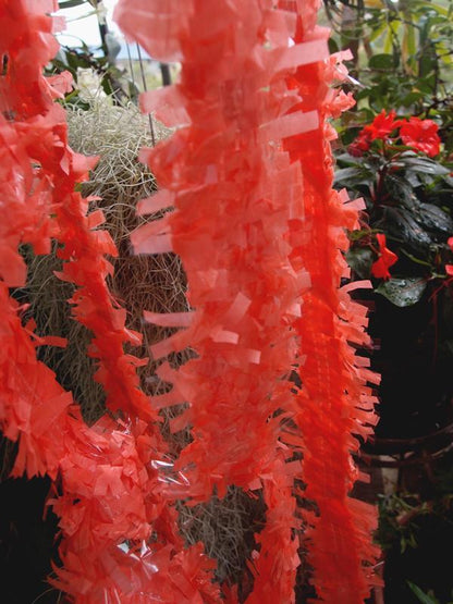 BLOWOUT (20 PACK) Roseate Tissue Festooning Fringe Garlands
