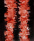 Roseate Tissue Festooning Fringe Garlands - AsianImportStore.com - B2B Wholesale Lighting and Decor