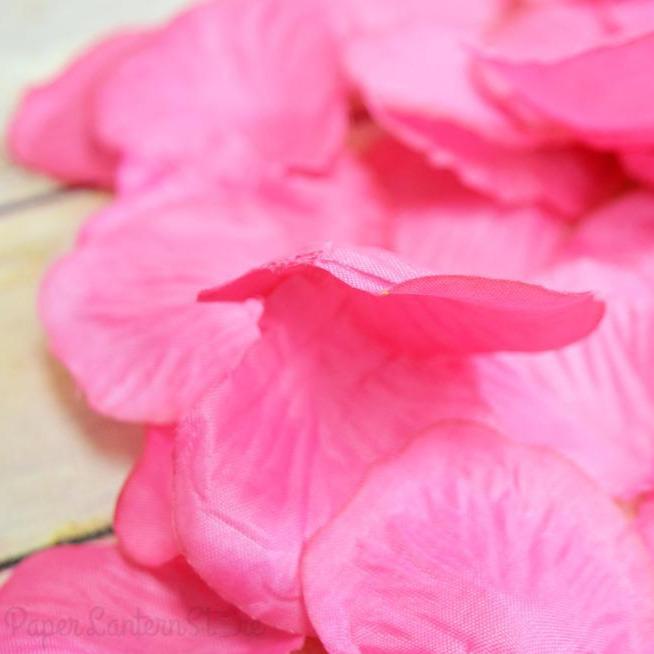 Fuchsia / Hot Pink Silk Rose Petals Confetti for Weddings in Bulk (50 PACK) - AsianImportStore.com - B2B Wholesale Lighting and Décor