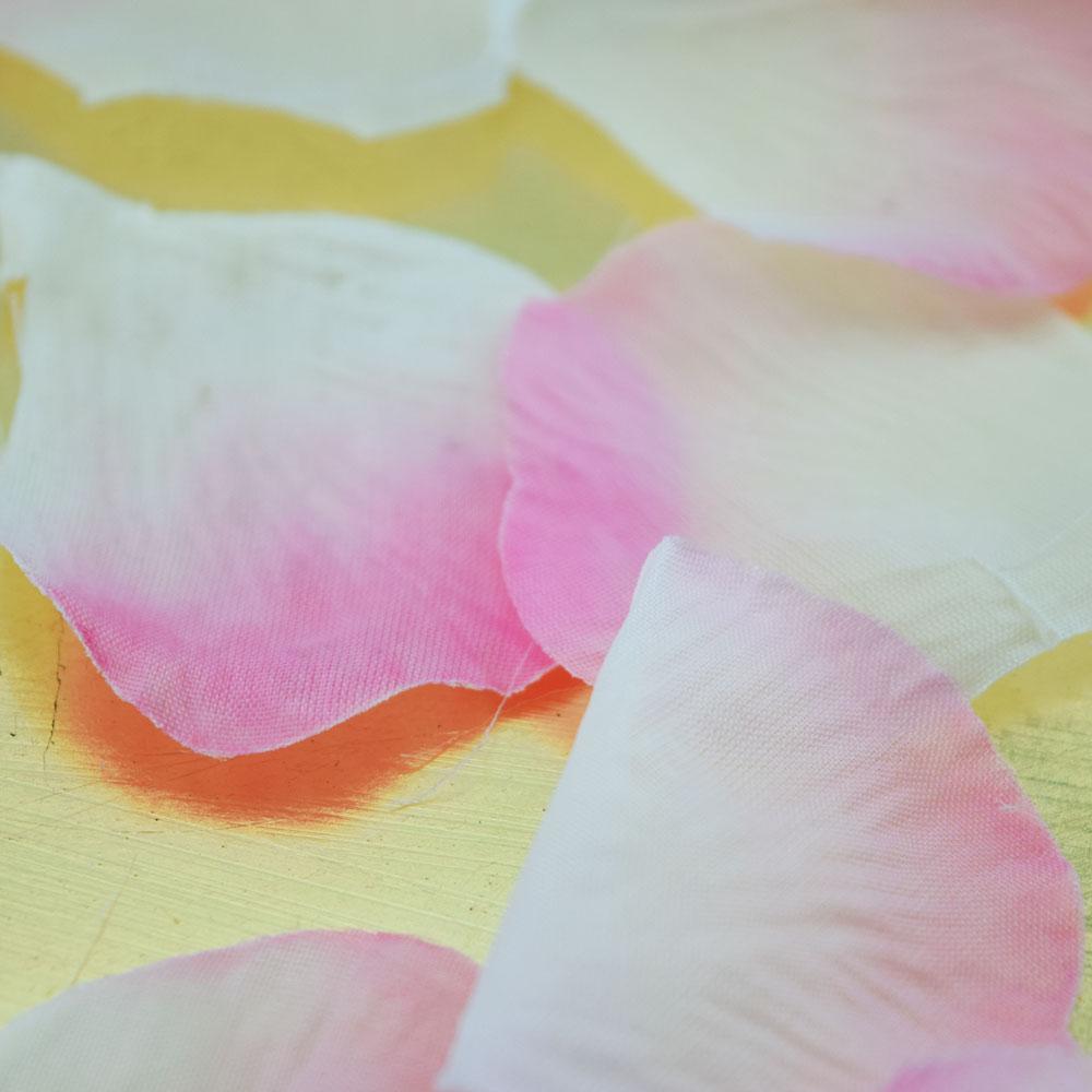  Light Pink Ombre Two-Tone Silk Rose Petals Confetti for Weddings in Bulk - AsianImportStore.com - B2B Wholesale Lighting and Decor