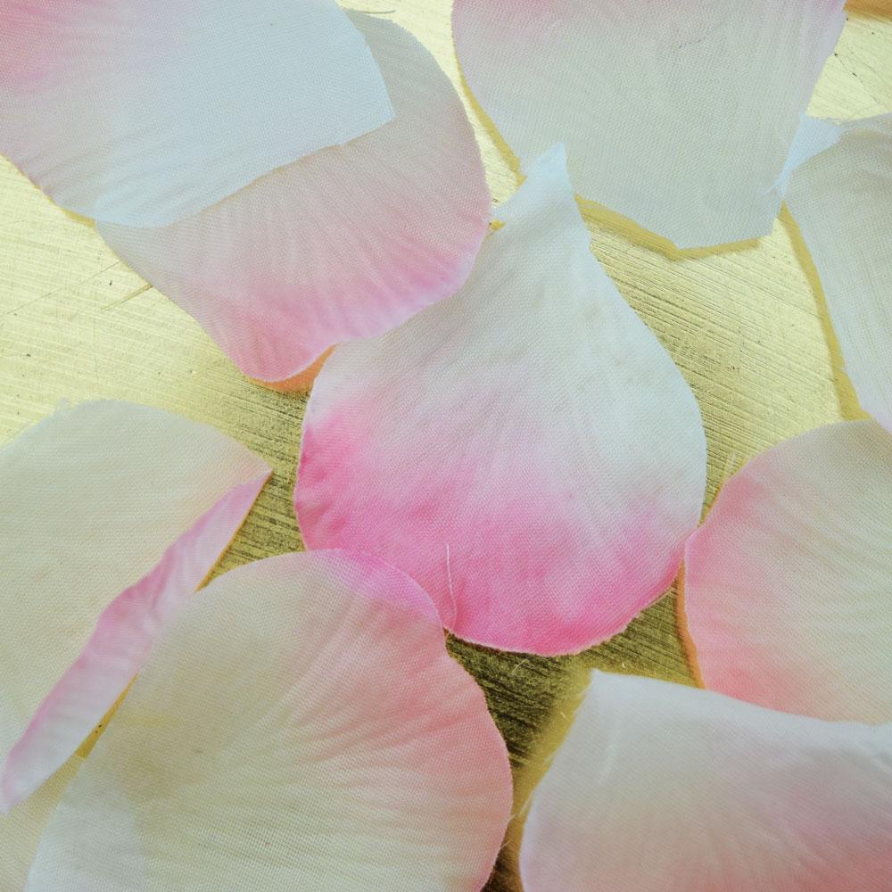  Light Pink Ombre Two-Tone Silk Rose Petals Confetti for Weddings in Bulk - AsianImportStore.com - B2B Wholesale Lighting and Decor