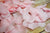 Pink Silk Rose Petals Confetti for Weddings in Bulk - AsianImportStore.com - B2B Wholesale Lighting and Decor