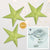 3-PACK + Cord | Chartreuse Green Starry Night 24" Illuminated Paper Star Lanterns and Lamp Cord Hanging Decorations - AsianImportStore.com - B2B Wholesale Lighting and Decor