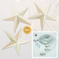 3-PACK + Cord | White Moon and Stars 24" Illuminated Paper Star Lanterns and Lamp Cord Hanging Decorations - AsianImportStore.com - B2B Wholesale Lighting and Decor