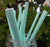 Water Blue Chevron Patterned Party Paper Straws (12 PACK) - AsianImportStore.com - B2B Wholesale Lighting and Decor